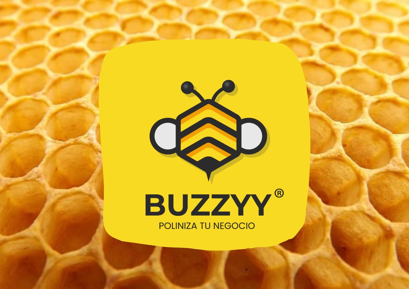 Buzzyy Merchandising