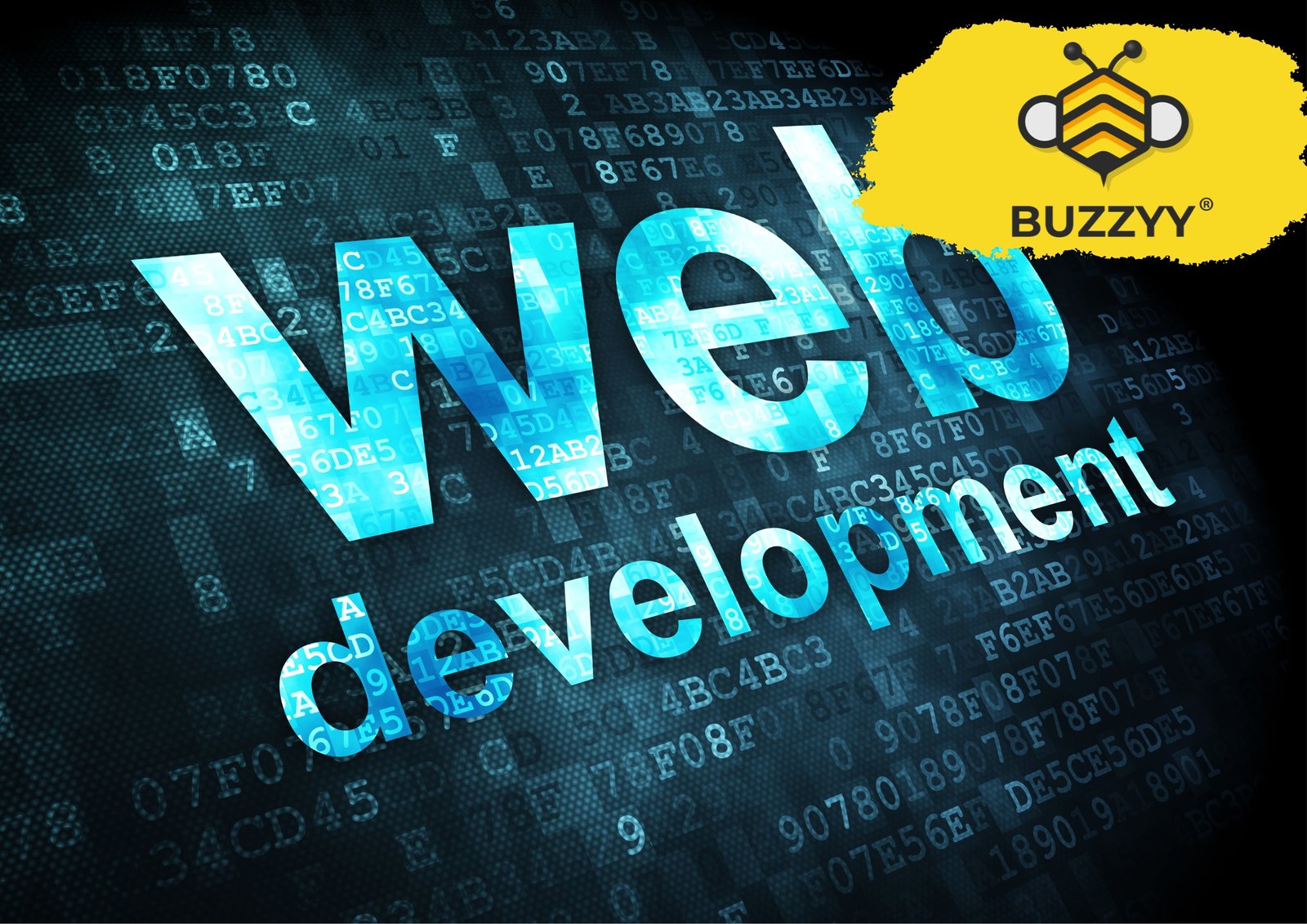 Creación web
